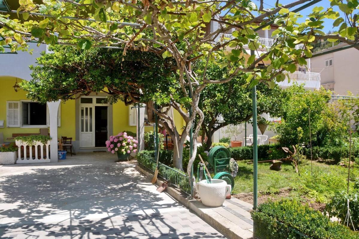 Villa Vlade- From The Heated Pool To The Beach In 1 Minute جيسينتسي المظهر الخارجي الصورة